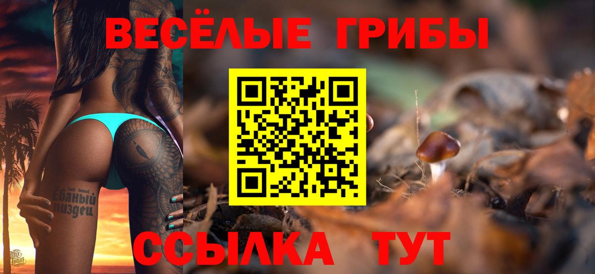 Псилоцибиновые грибы Psilocybine cubensis  Вход с VPN  Псилоцибиновые грибы Psilocybe  хочу   Среднеуральск 