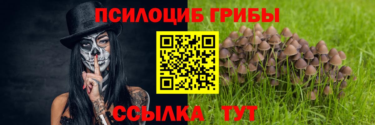 Галлюциногенные грибы Magic Shrooms Среднеуральск